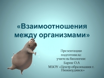 Презентация по биологии 11 класс Взаимоотношения организмов