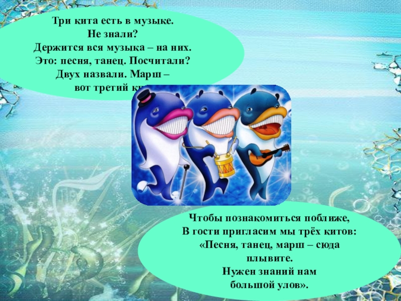 Песня 3 кита. Три кита три кита три китули три кита. Песенка три кита. 3 Кита в Музыке. Три кита для презентации.