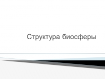 Презентация по биологии Биосфера (10 класс)