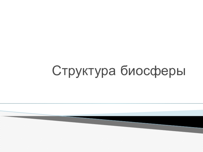 Реферат Биосфера Основные Процессы В Биосфере