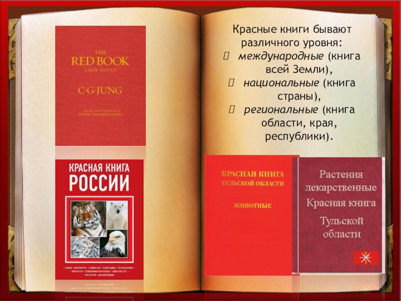 Книга красный век. Красные книги бывают. Красные книги различных уровней. Красная книга Тульской области книга. Уровни красных книг.
