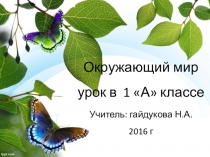 Презентация по окружающему миру на тему Какие бывают животные (1 класс)