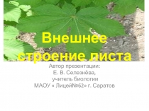 Презентация по биологии на тему Лист. Внешнее строение листа