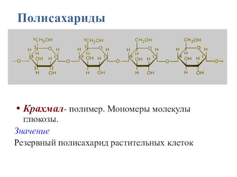 Презентация по теме полисахариды