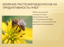 Презентация по биологии Влияние растений медоносов на продуктивность пчёл