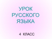Презентация по русскому языку на тему Общие сведения об имени существительном