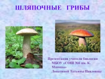 Презентация по биологии на тему Шляпочные грибы (5 класс)