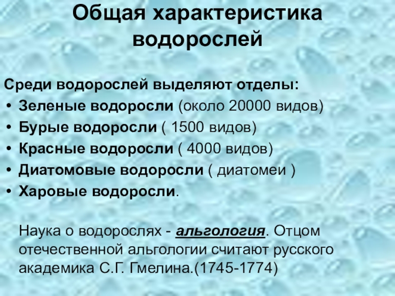 По какой причине водоросли выделены в особую