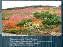 Презентация по географии на тему Природные зоны России. Тундра 8 класс