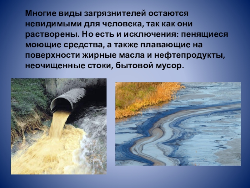 Проект загрязнение воды 8 класс