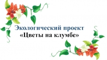 Презентация экологический проект Цветы на клумбе (старшая группа)