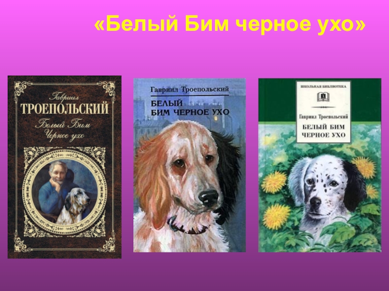 Самым поразительным для бима. Книга г Троепольского белый Бим черное ухо. Презентация белый Бим черное ухо.