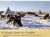Презентация Путешествие в тундру