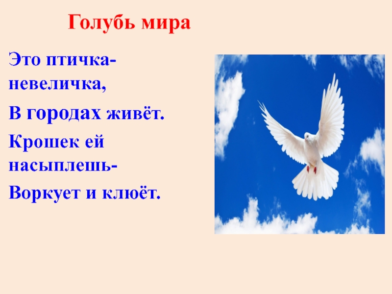 10 голубей. Стих если птица это мать. Светлогрудка, светла невеличка-олицетворение.