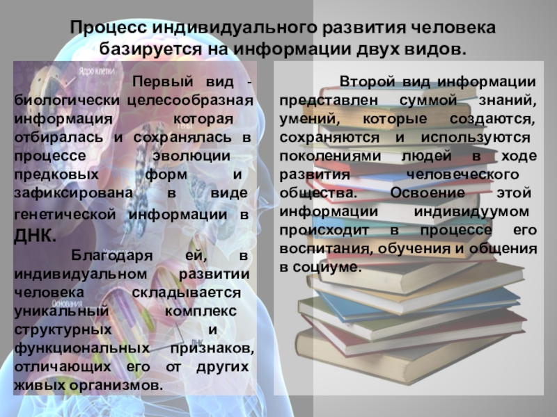 В процессе индивидуального развития человека. Процесс индивидуального развития.