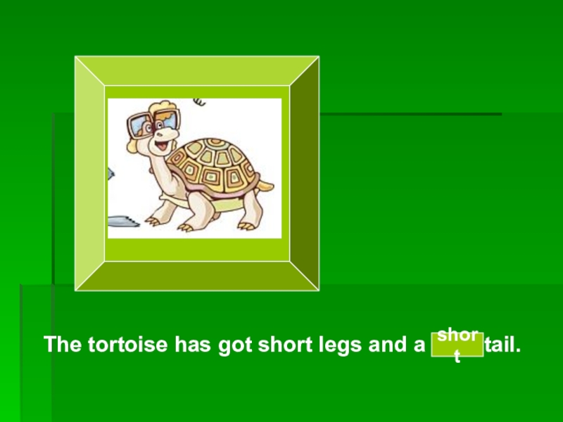 It s got a short tail. Tortoises have got long Legs. Перевод Tortoises have got long Legs. I have got a Tortoise. 1 A Dog can/has got a long Tail.