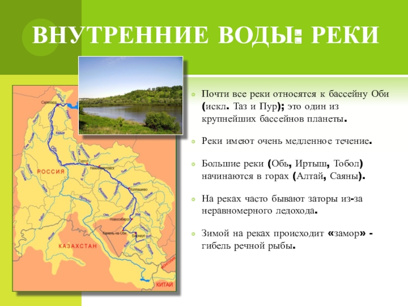 Западно сибирская равнина особенности природы презентация 8 класс