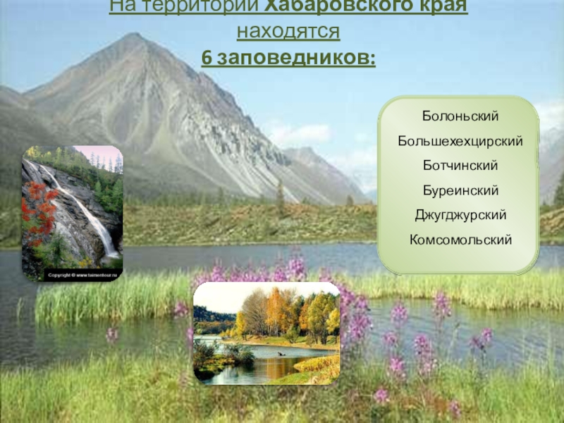 6 заповедников. Заповедники и нац парки Хабаровского края. Заповедники и национальные парки в Хабаровске. Заповедник Хабаровского кра. Заповедные места Хабаровского края.