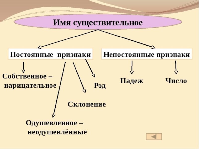 Повторение по теме имя существительное 5 класс презентация