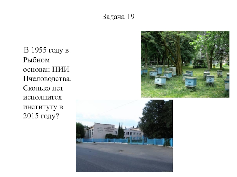 История города в задачах. НИИ пчеловодства Рыбное. Город Рыбное институт пчеловодства.