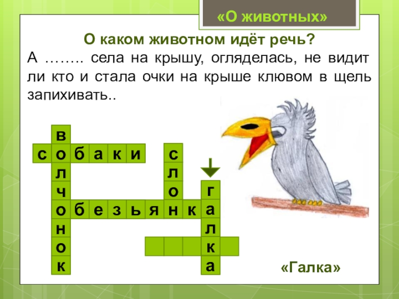 О каком животном идет речь. Определи каком животном идет речь. Житков кроссворд. Кроссворд про обезьянку Житков с ответами.