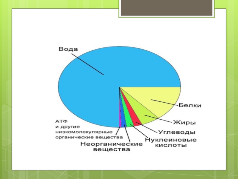 Презентация химический состав организма человека