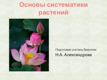 Презентация к уроку Систематика растений, учебник Биология. Многообразие покрытосеменных растений. 6 класс (35 часов, 1 час в неделю) под редакцией В.В. Пасечника