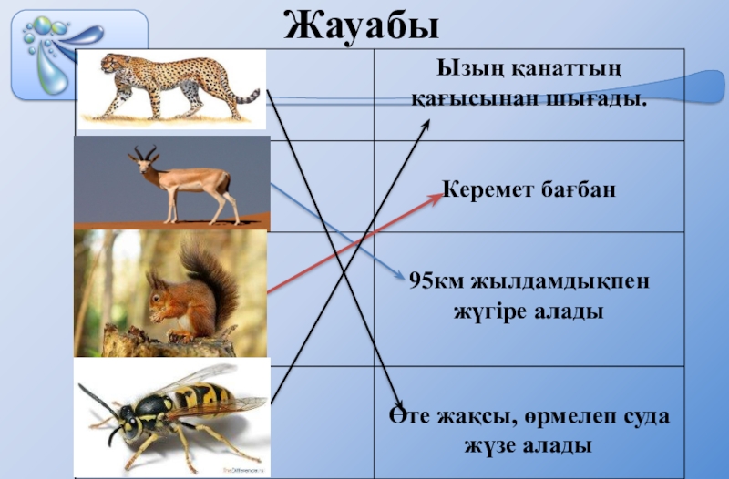 Жануарлардың көптүрлілігі 5 сынып презентация