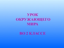 Презентация по окружающему миру на тему Вода на Земле (2 класс)