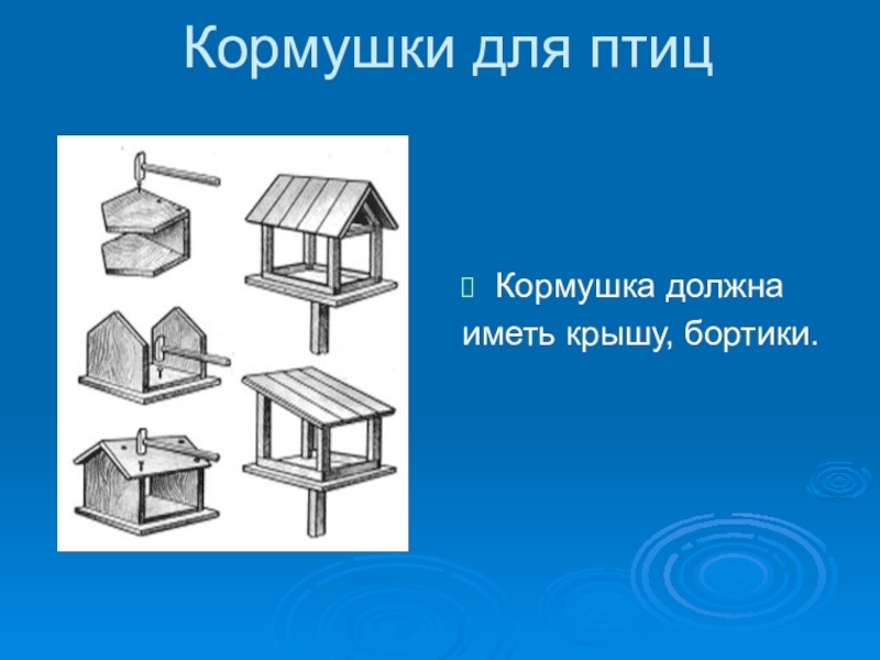 Проект про кормушку 6 класс