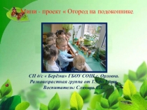 Презентация  Огород в 1 младшей группе.