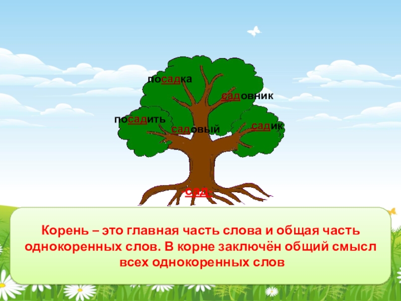 Рассмотрите рисунок какая часть слова стала корнем как пишутся все корни