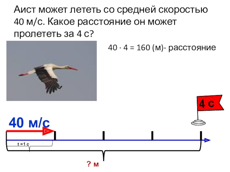 Расстояние 6 км. Аист может летать со средней скоростью. Аист может лететь со скоростью 600. Сколько километров в час летает птица. Скорость аиста 600 м/мин полета.