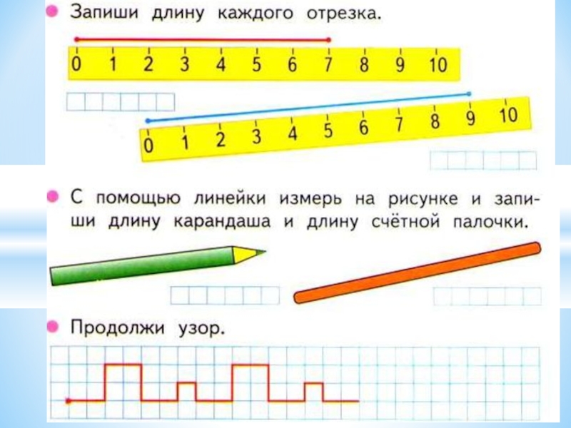 Рассмотри рисунок и найди длину ty