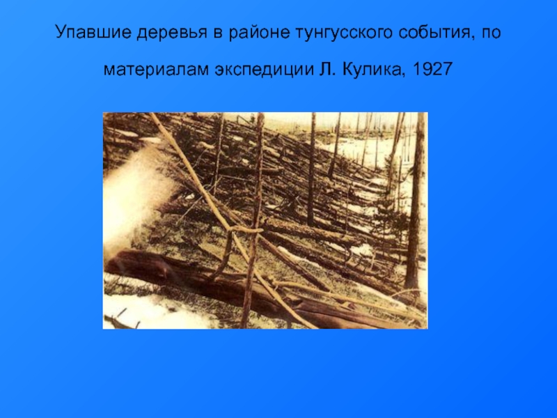 Упавшие деревья в районе тунгусского события, по материалам экспедиции Л. Кулика, 1927