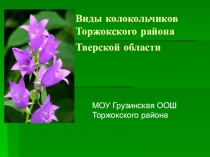 Презентация по окружающему миру  Изучение редких растений своей местности