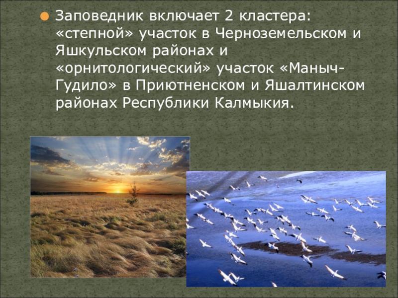 Запиши названия заповедников в пустыне. Заповедник чёрные земли доклад. Заповедник черные земли презентация. Сообщение о заповеднике черные земли. Заповедник черные земли 4 класс.