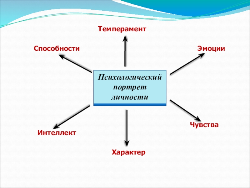 Сочинение психологический портрет