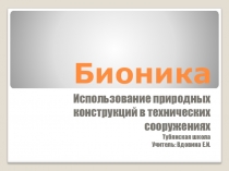 Презентация по биологии Бионика