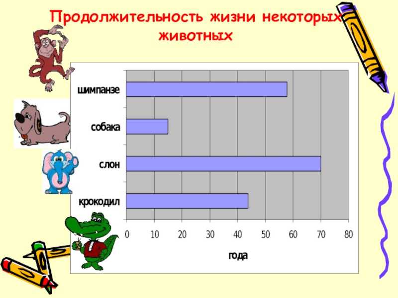 Диаграмма на тему кошки