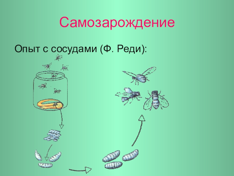 Гипотеза самозарождения жизни на земле презентация