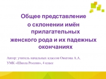 Презентация по русскому языку на тему Общее представление о склонении имён прилагательных женского рода и их падежных окончаниях (4 класс)