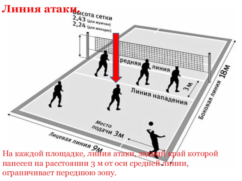 Волейбольное поле схема по зонам