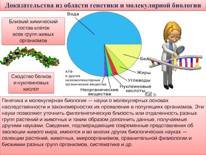 Биологические доказательства. Молекулярно-генетические доказательства эволюции. Генетические доказательства эволюции примеры. Молекулярно биохимические доказательства эволюции. Молекулярно-генетические и биохимические доказательства.