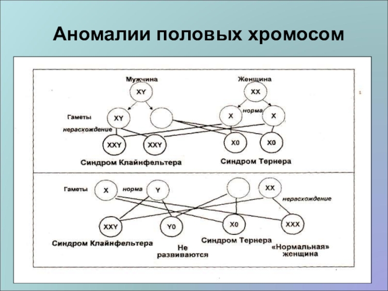 Аномалия хромосом. Аномалии половых хромосом. Заболеваний, связанных с аномалиями половых хромосом. Аномалии сочетания половых хромосом. Аномалии половых хромосом таблица.