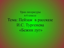 Презентация к уроку литературы Пейзаж в рассказе И.С. Тургенева Бежин луг