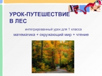 Презентация Путешествие по логическим островам