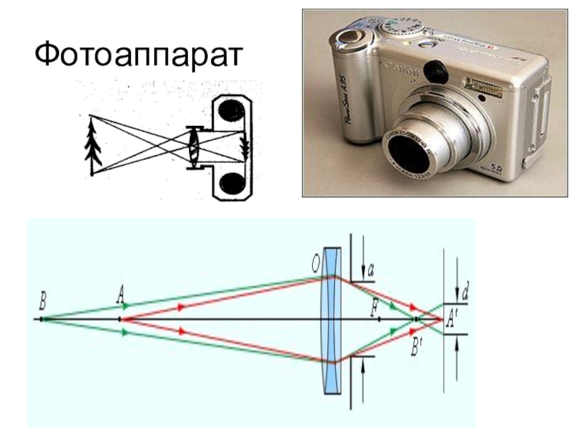 Какое изображение в фотоаппарате