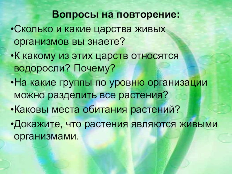 Почему водоросли относятся. Водоросли относят к живым организмам потому что они. Почему водоросли относятся к растениям. Повторение темы водоросли. Почему водоросли низшие растения.