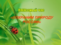 Презентация классного часа по теме  Сохраним природу России